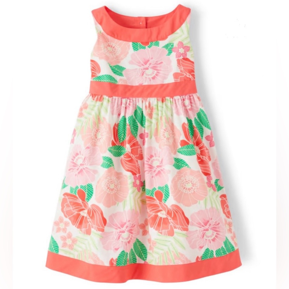 Gymboree Sleeveless Floral Fairy Blossom Dress Size 12-18 Months